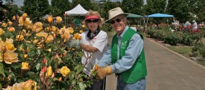 Community Volunteer Day & Dead Heading Seminar @ San Jose Municipal Rose Garden | San Jose | California | United States
